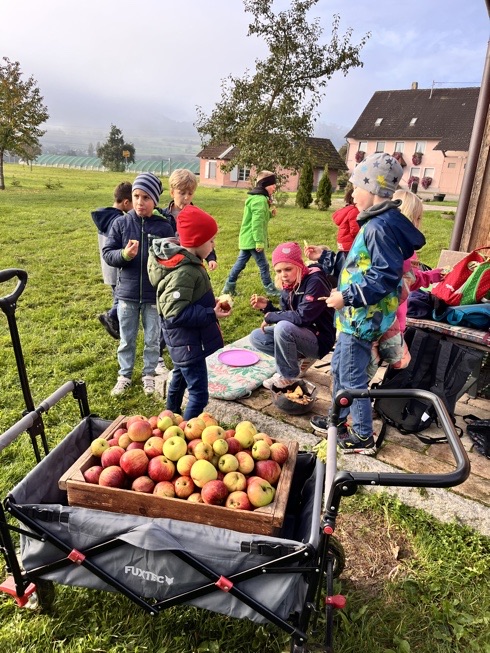 Apfelernte der Klasse 2a